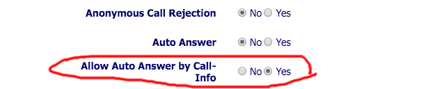 allow-auto-answer